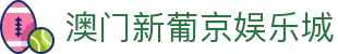 澳门新葡京娱乐城app，体验无与伦比的娱乐盛宴 - xinpujing